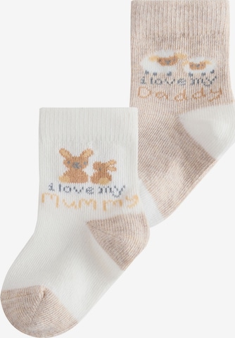 Chaussettes Next en beige : devant