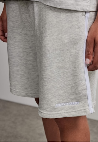 Loosefit Pantalon 'Viseu' Pegador en gris