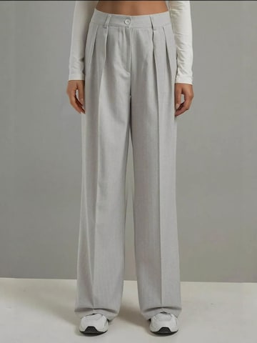 Hiccup Wide leg Pleated Pants in Grey: front