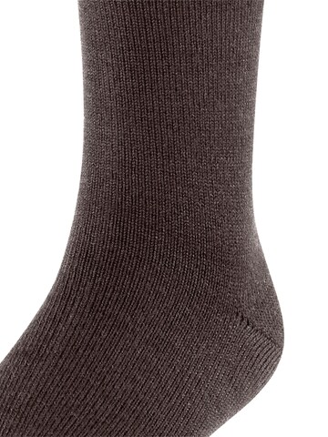FALKE Socks 'Comfort Wool' in Brown