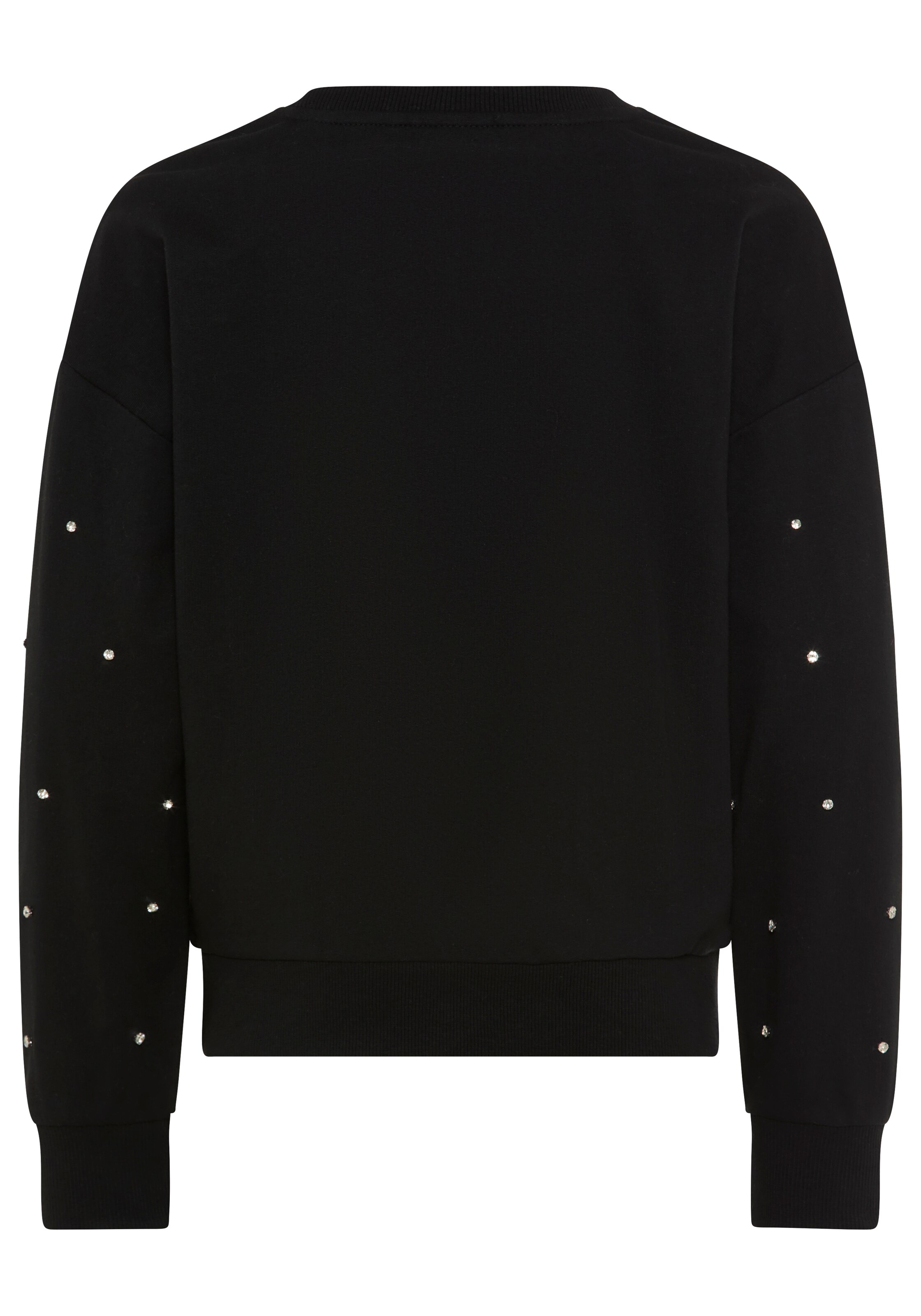 Bruno Banani LM Sweatshirt in Black