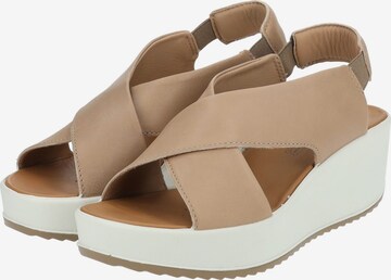 IGI&CO Sandals in Brown