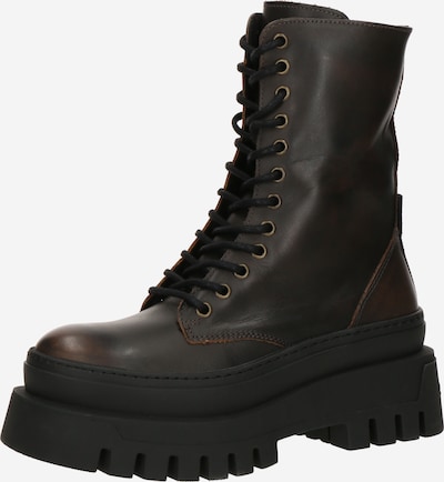 STEVE MADDEN Nauhanilkkurit 'COAST' värissä tummanruskea, Tuotenäkymä