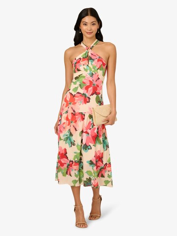 Adrianna Papell Kleid in Beige