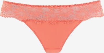 LASCANA Thong in Orange: front