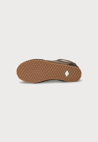 Baskets basses VANS en marron
