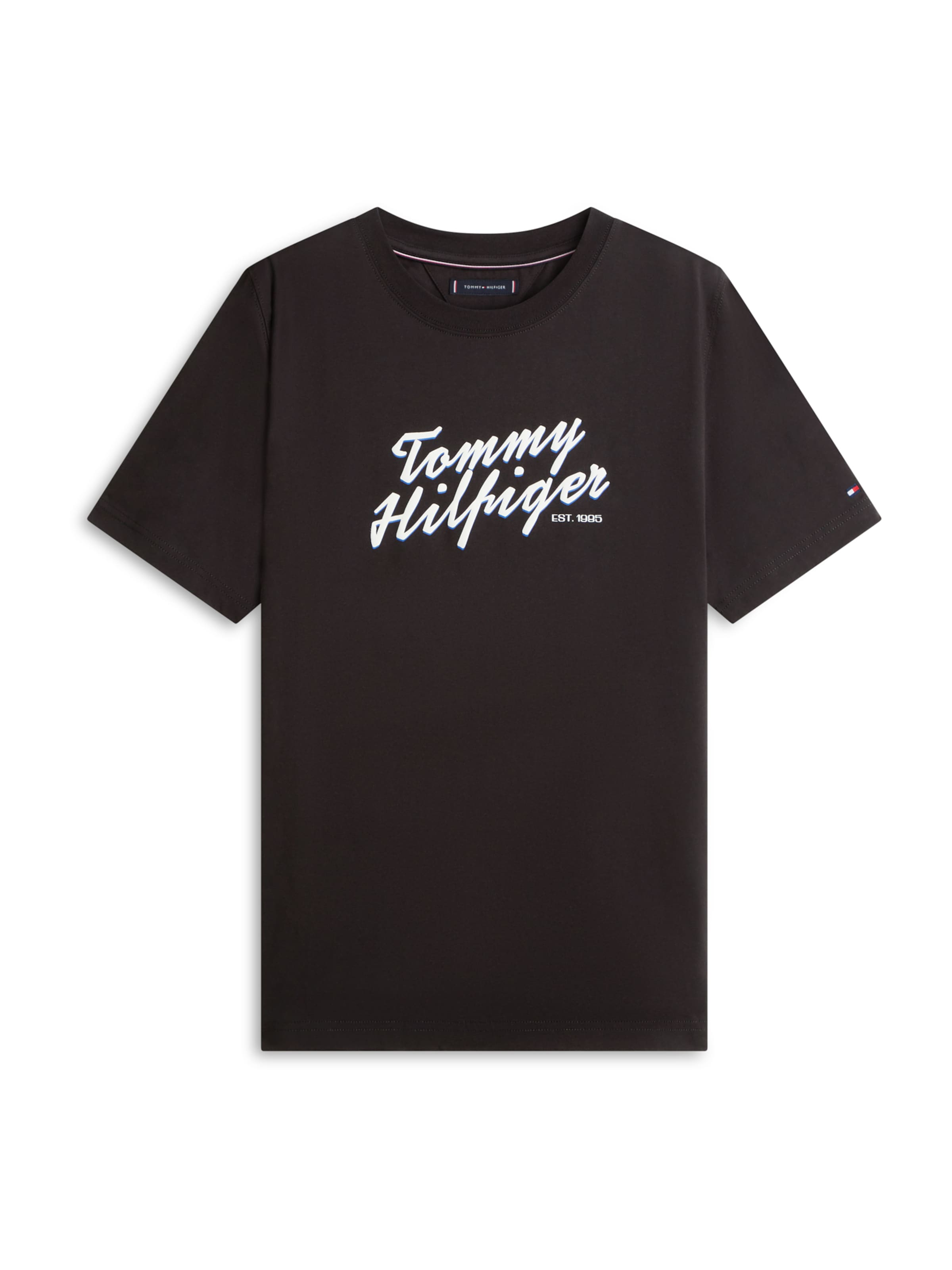 TOMMY HILFIGER Tričko 'SUMMER' – černá: přední strana