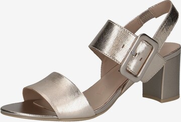 CAPRICE Strap Sandals in Gold: front