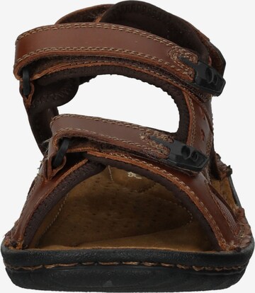 HUSH PUPPIES Sandalen in Bruin