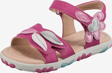 GEOX Sandals 'HAITI' in Pink: front