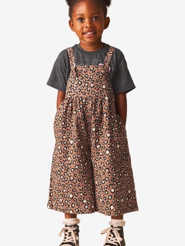 Next Set in Brown