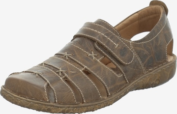 JOSEF SEIBEL Classic Flats 'ROSALIE' in Brown: front