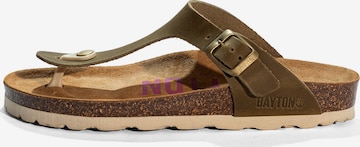 Bayton Pistokkaat 'MERCURE' värissä vihreä: etupuoli