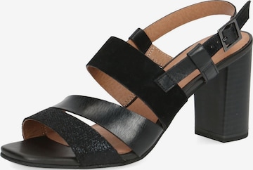 CAPRICE Sandals in Black: front