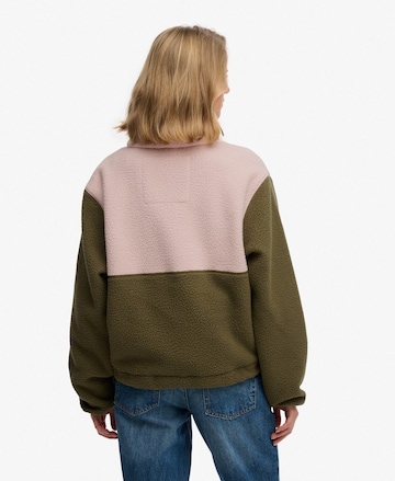 Superdry Trui in Groen