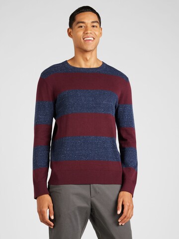 GAP Pullover 'NOVELTY' in Blau: Vorderseite