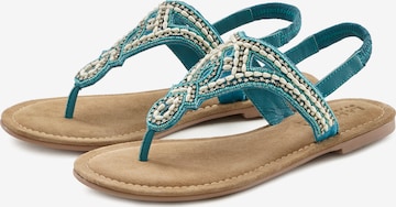 LASCANA Teenslipper in Blauw