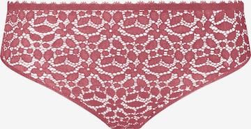 Nur Die - Braga ' Lace ' en rosa: frente
