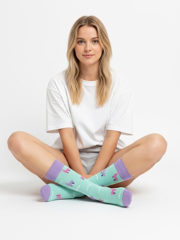 Chaussettes 'ZEFYR EDITION' The Arctic Bay en mélange de couleurs