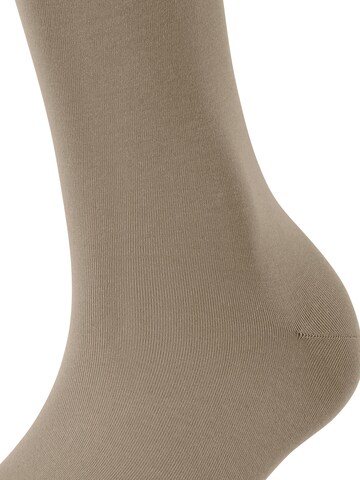 FALKE Knee High Socks 'Cotton Touch' in Beige