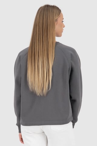 Alife and Kickin Sweatshirt 'AKTeodora' i grå