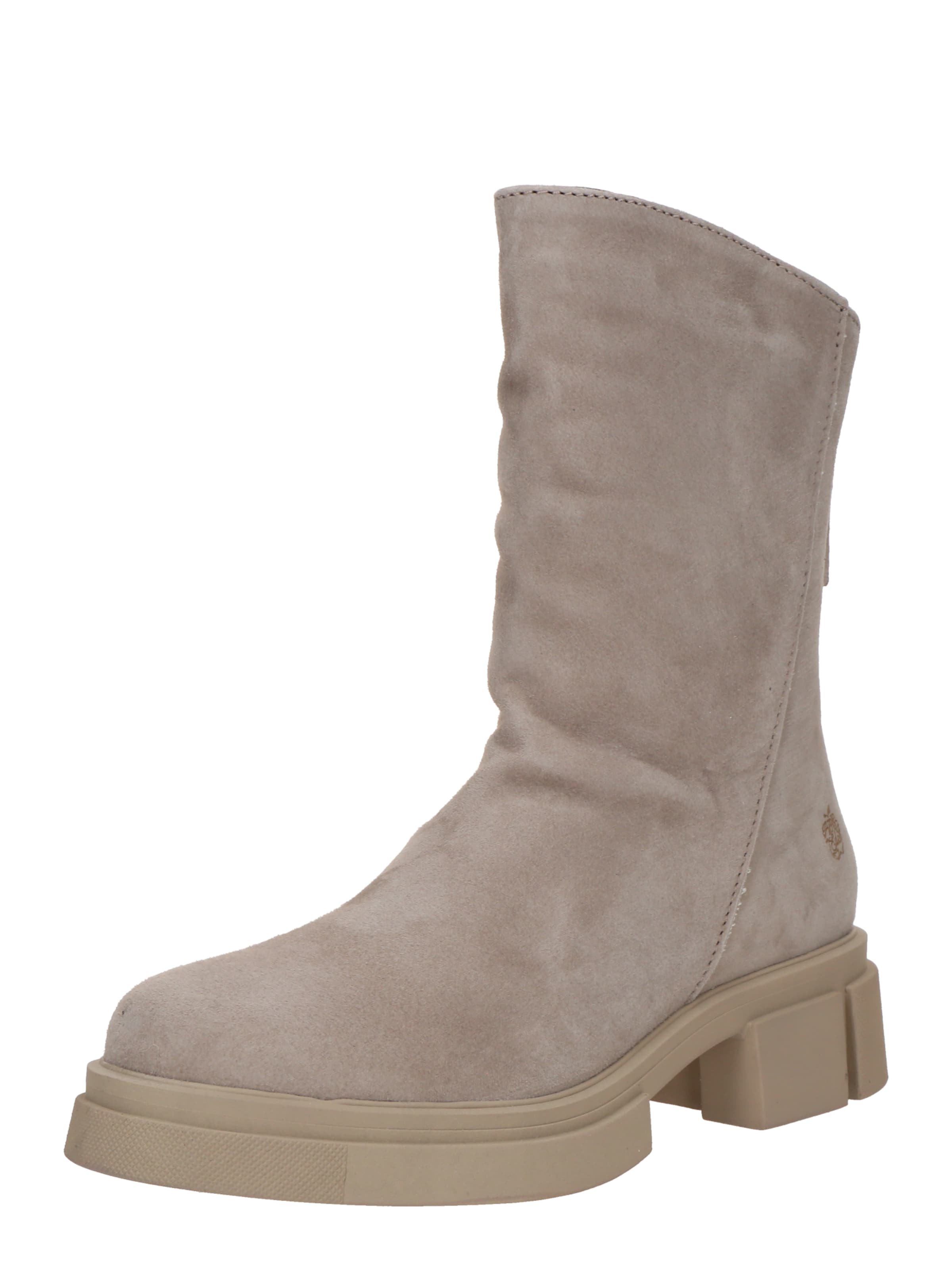 Apple of Eden Členkové čižmy 'GISELLY' - Sivá: predná strana