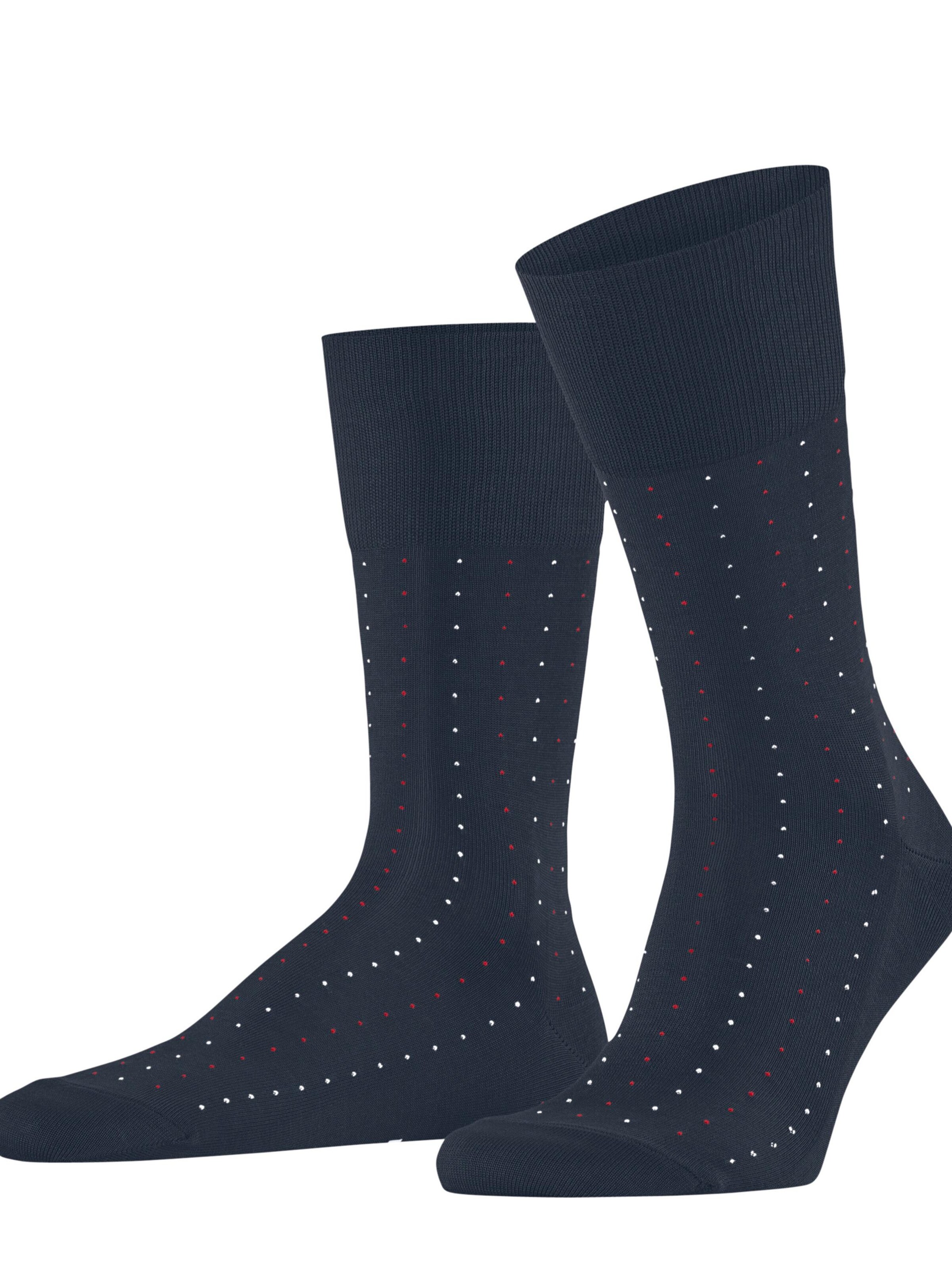 FALKE Socks 'Tiago Dotted Line' in Blue: front