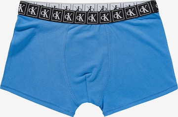 Calvin Klein Underwear Underpants in Blue