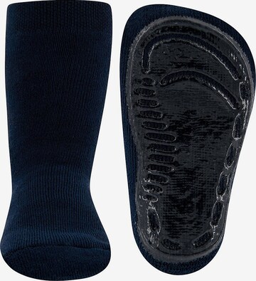 EWERS Socken in Blau: predná strana