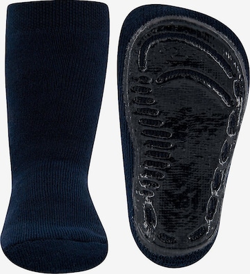 EWERS Socks in Blue: front