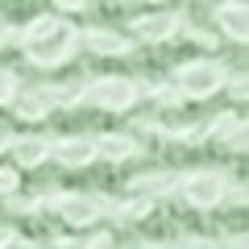 STERNTALER Waschlappen 'BÄR Bo' in Grün