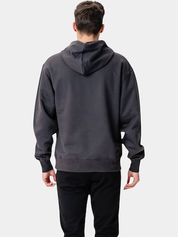 TEESHOPPEN Sweatshirt in Grau