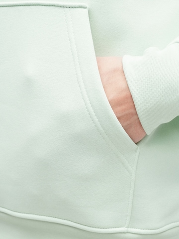 Jordan Свитшот 'BRKLN FLC' в Зеленый