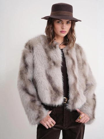 Manteau d’hiver MixRay en gris : devant