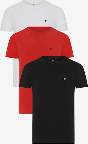 DENIM CULTURE T-shirt 'TONY' i blandade färger: framsida