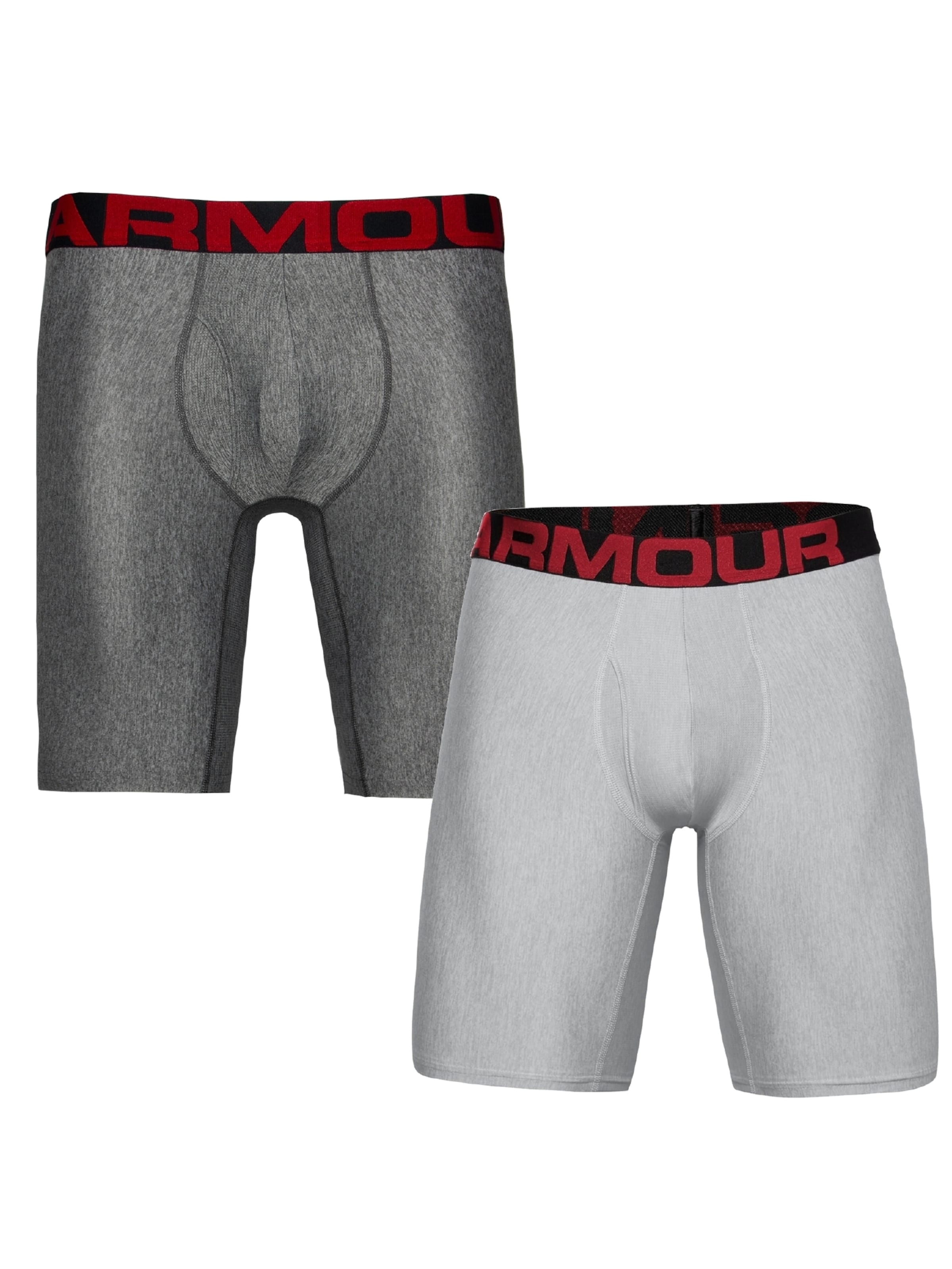 UNDER ARMOUR Športne spodnjice 'Tech 9in' | siva barva: sprednja stran