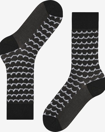 FALKE Socks 'Sea Rock' in Black: front