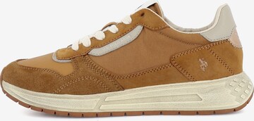 Baskets basses 'Seneka' US POLO ASSN. en beige : devant