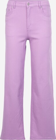 Wide Leg Jean 'TAZZA' LMTD en violet : devant