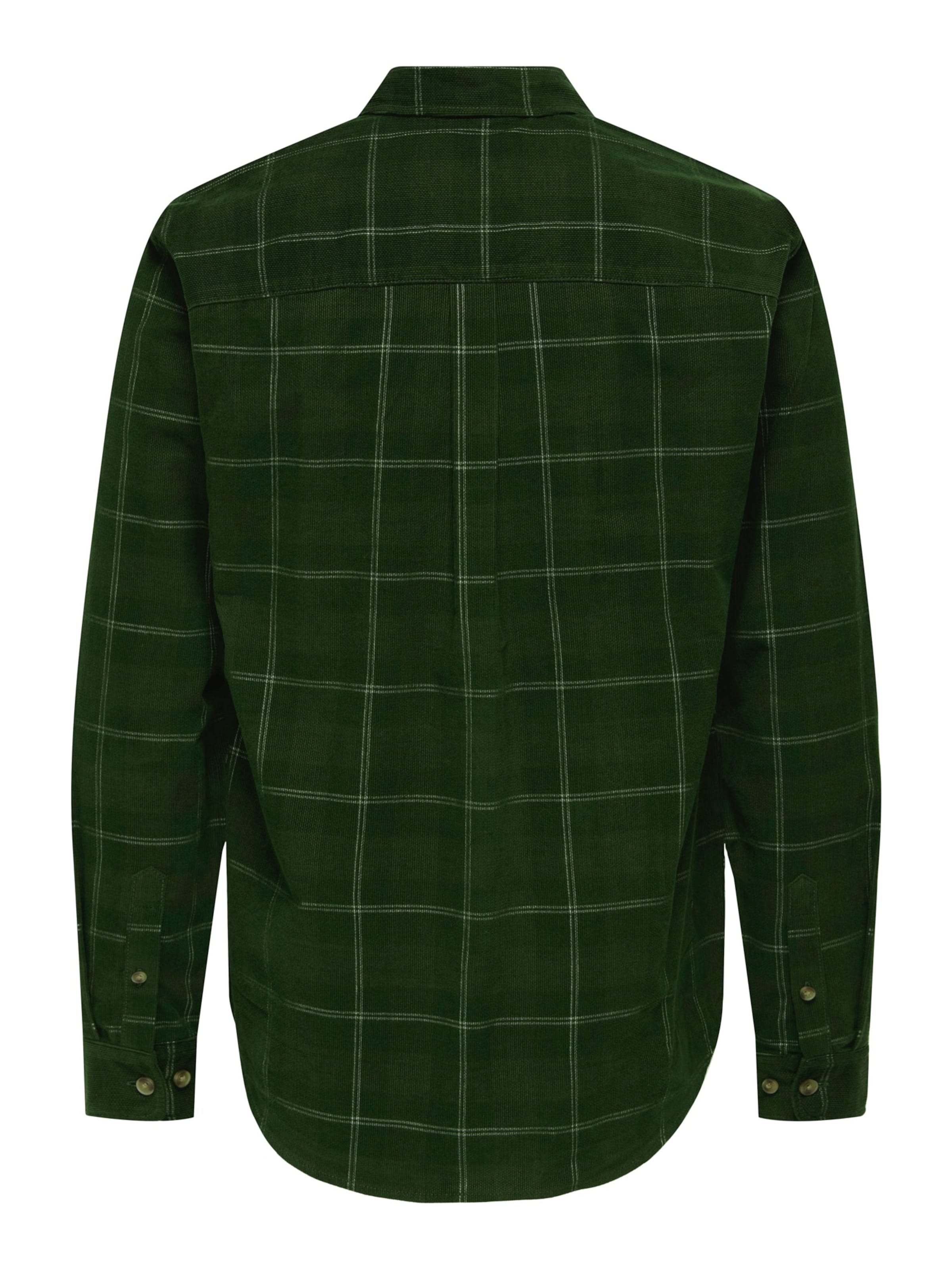 Only & Sons Regular fit Риза 'ONSWILLIAM' в зелено