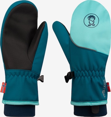 TROLLKIDS Gloves in Blue: front