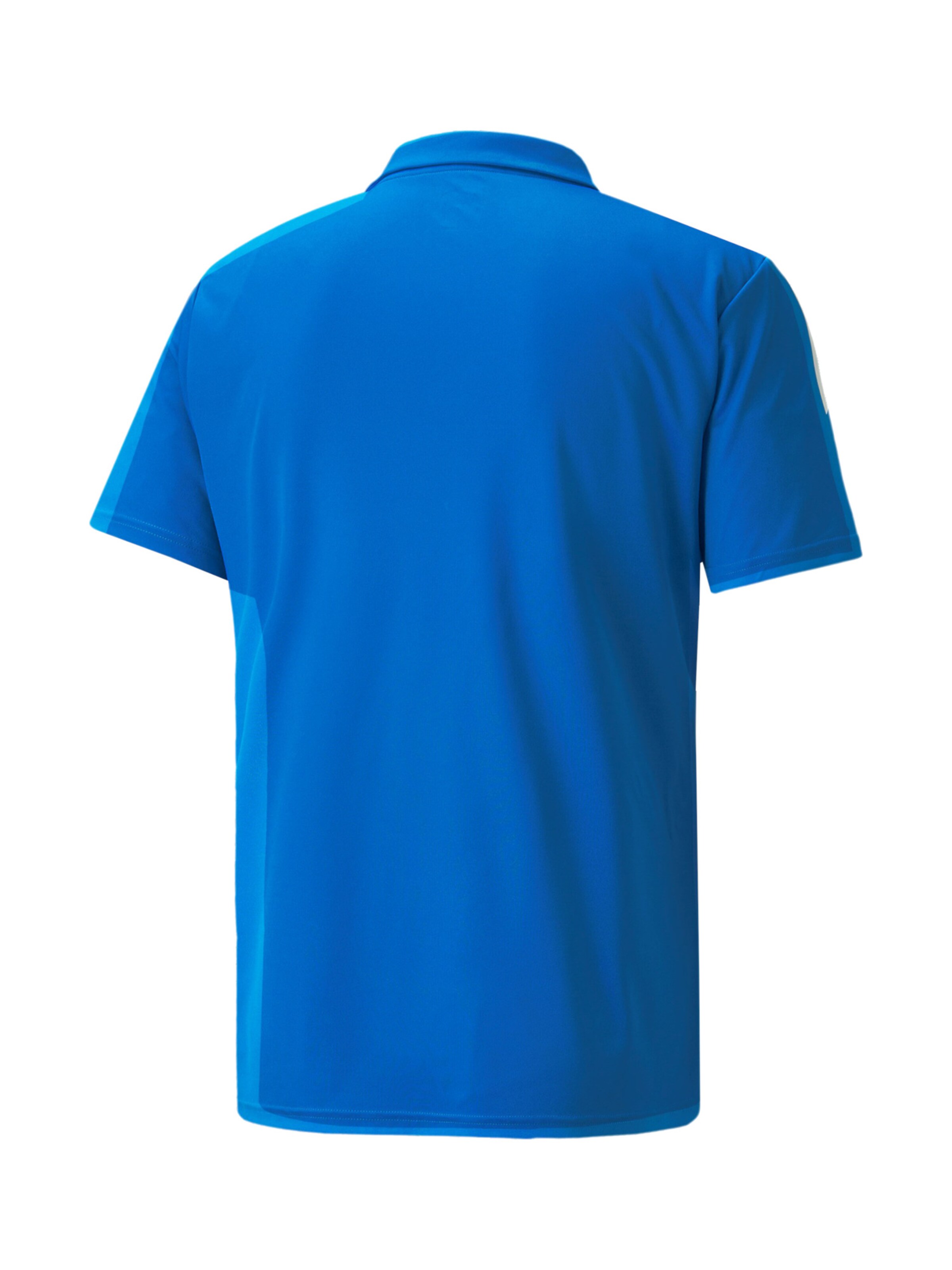 PUMA Funktionsshirt 'TeamLiga' in Blau