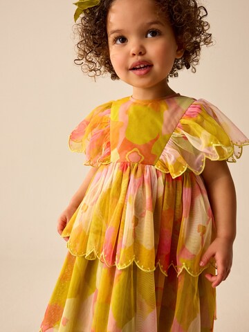 Next Kleid in Mischfarben