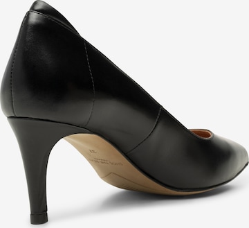 Shoe The Bear Pumps in Black