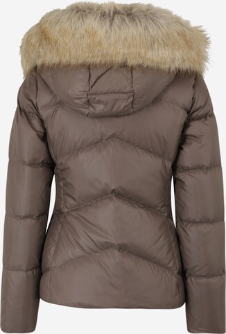 Calvin Klein Winter Jacket in Brown