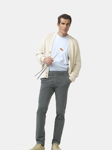 Regular Pantalon chino 'Lupus' MMX Germany en gris