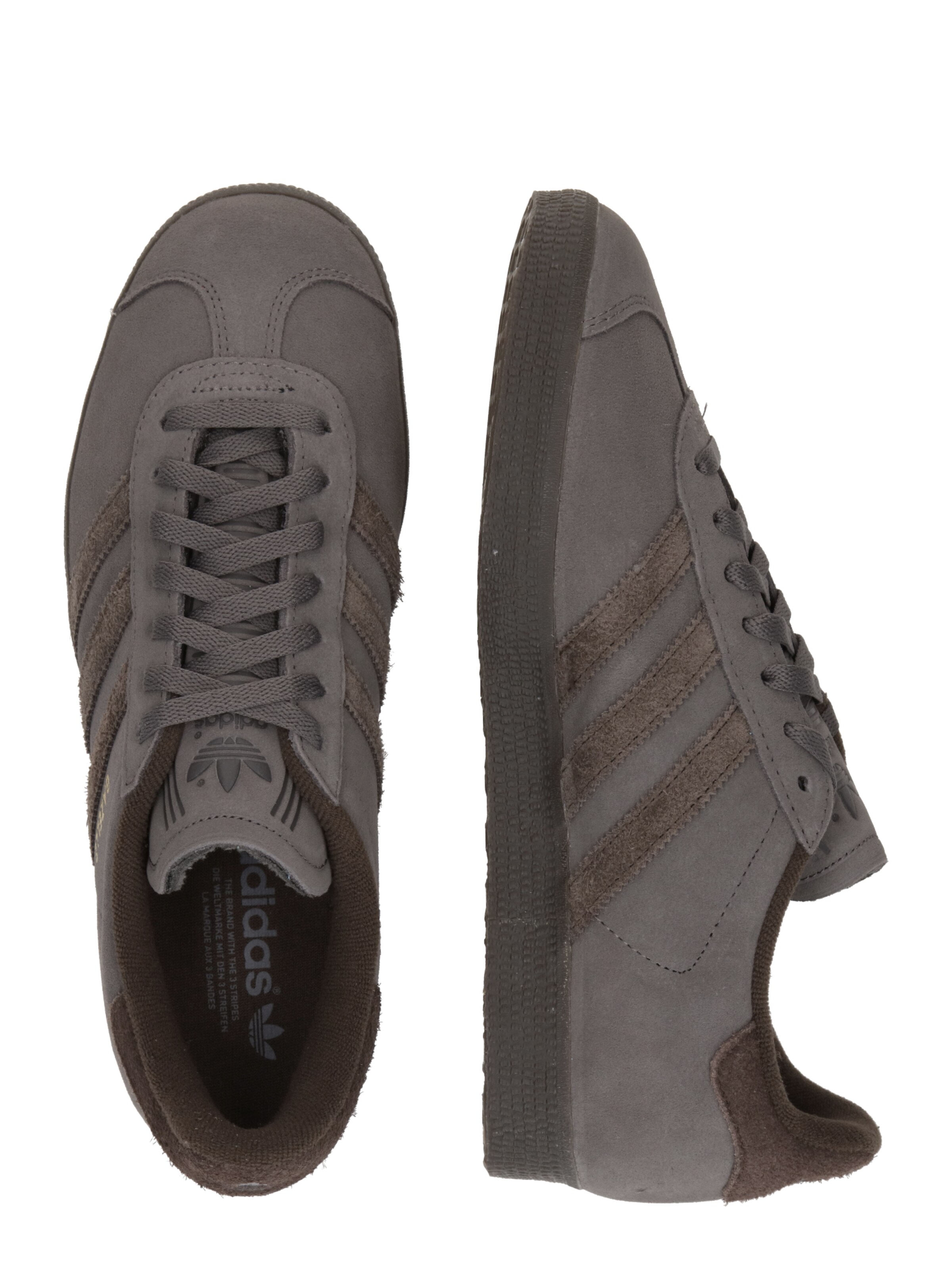 gazelle gris foncé