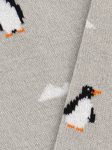 The Arctic Bay Socks 'AUSTRAL EDITION Gift box 4 Pack Unisex' in Mixed colours