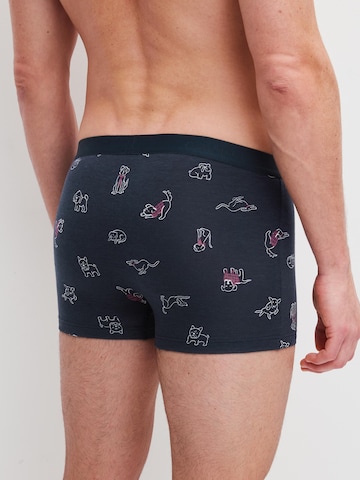Boxer 'Family & Friends' di CALIDA in nero