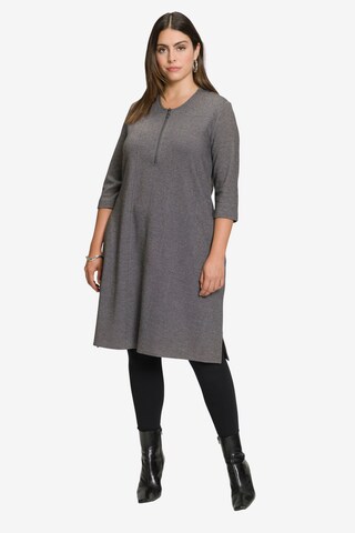 Robe Ulla Popken en gris : devant